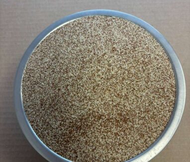 WhatsApp Image 2025-12-10 at 8.01.39 PM