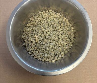 WhatsApp Image 2025-12-10 at 8.29.27 PM (1)