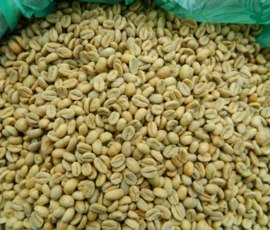 Organic_Ethiopia_Limu_Natural_Raw_Coffee_beans_w