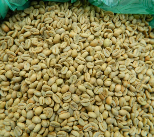 Limmu coffee 1 Pound / 0.45kg