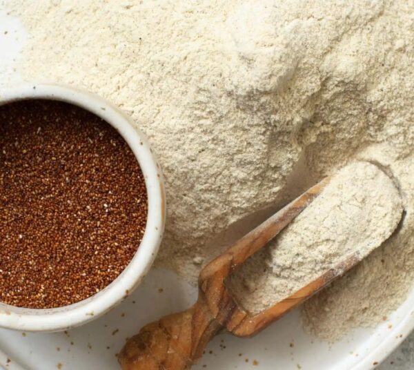 White Teff (Grain & flour) 25 Pounds  / 11.34kg