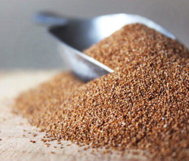 WhatsApp Image 2025-09-15 at 09.31.40